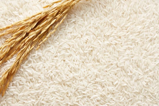 white rice image